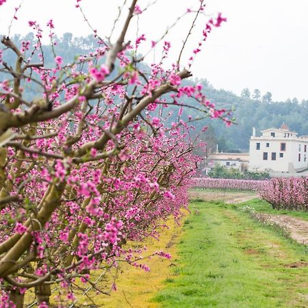 Hotel Rural Mas De L'Illa Tivissa Экстерьер фото