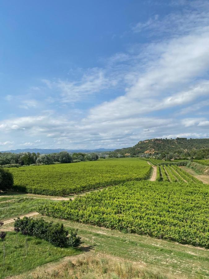Hotel Rural Mas De L'Illa Tivissa Экстерьер фото